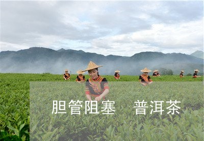 胆管阻塞 普洱茶/2023041094920